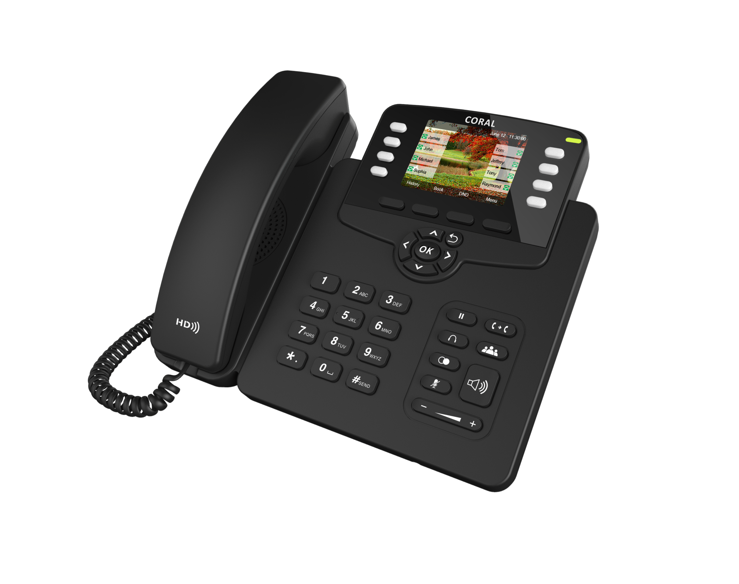 3 Line IP Phone