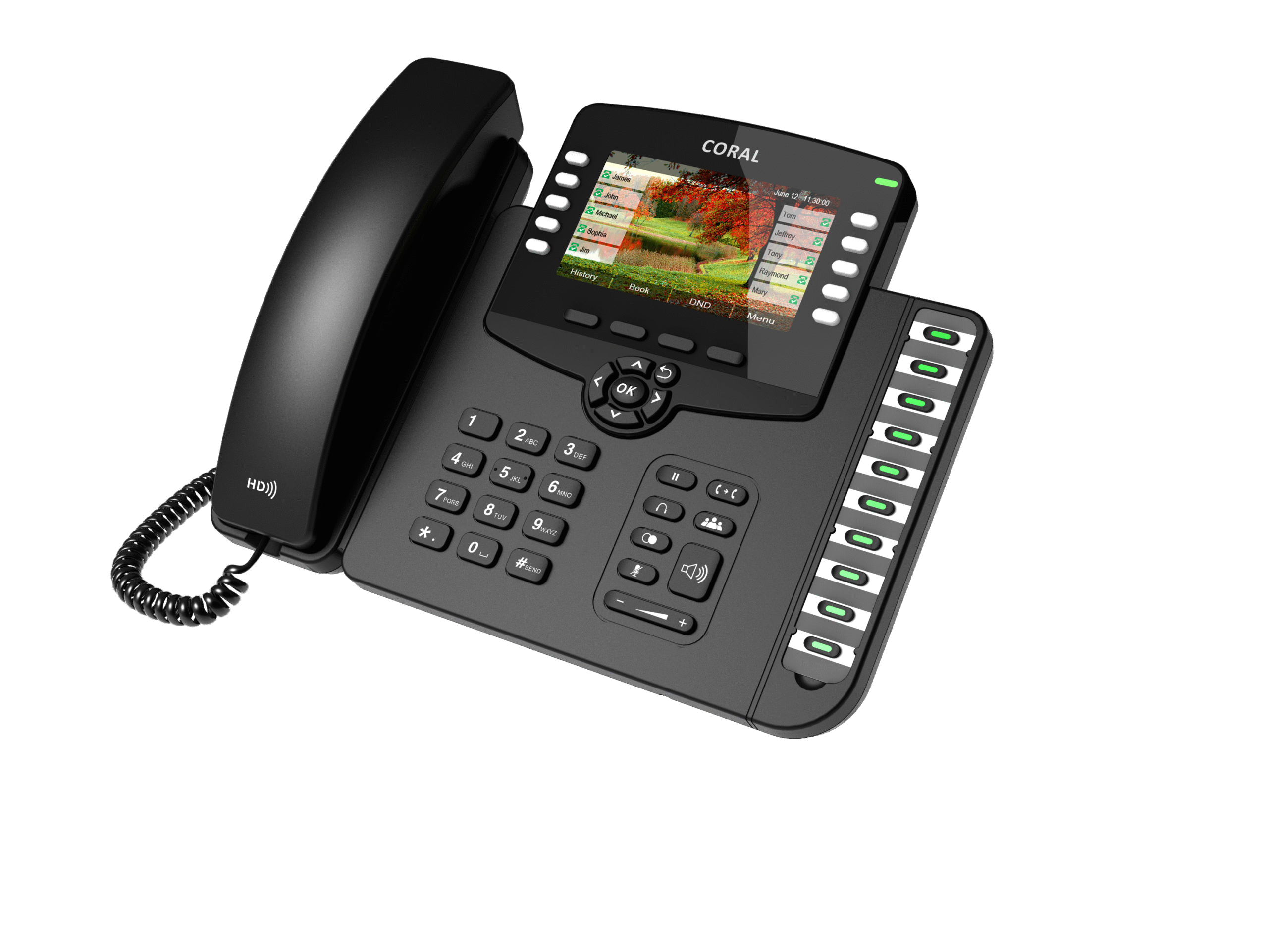 6 Line IP Phone